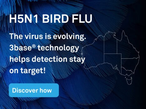 h5n1 bird flu jun 26