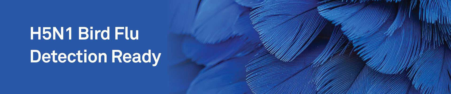 6artboard 20
