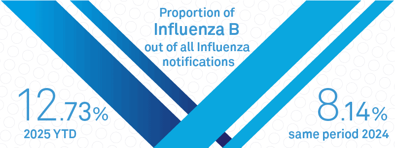An infographic with the text: Proportion of Influenza B out of all influenza notifications. 12.73% in the 2025 year to date. 8.14% in the same period of 2024.