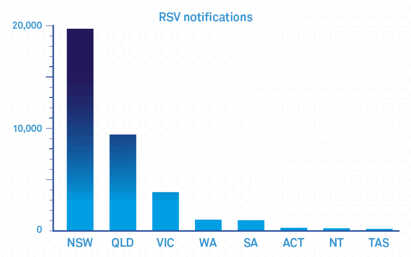 A bar graph displaying the number of RSV notifications by state and territory. NSW has the largest figure by a large margin, followed by Queensland, Victoria, Western Australia, South Australia, ACT, Northern Territory, and Tasmania.