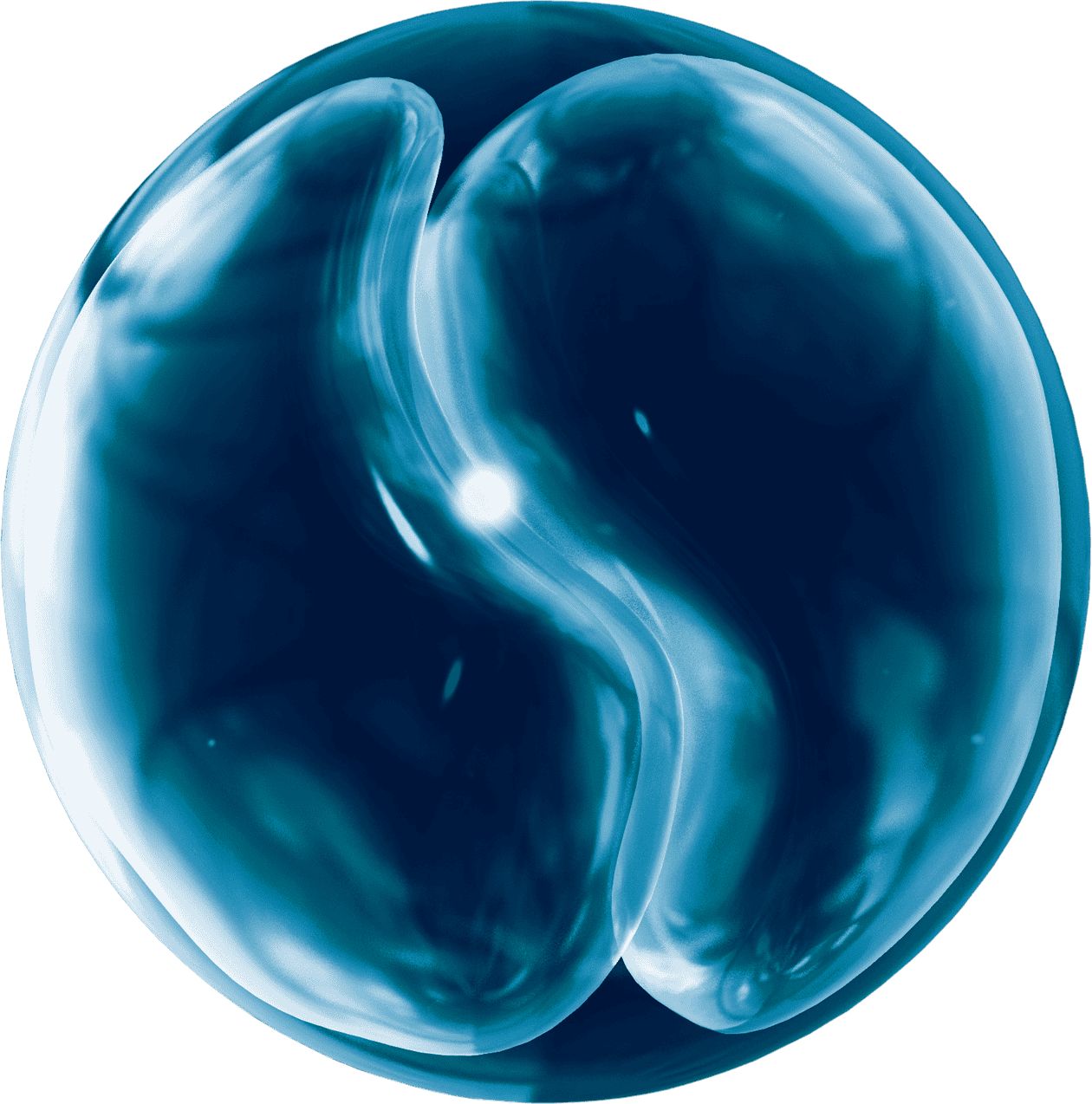 Cyclospora version 2 transparent