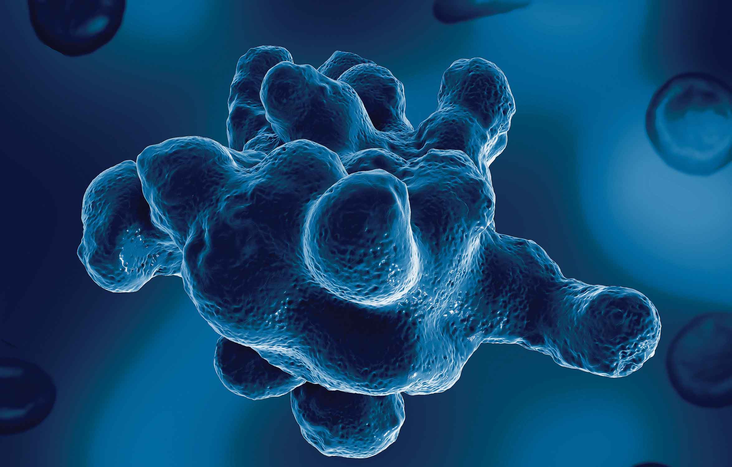 Entamoeba-Histolytica-Parasite-Panel-Thumbnail