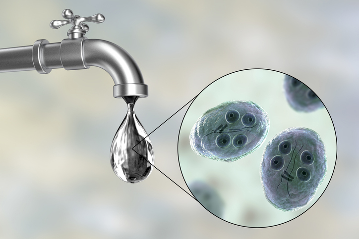 Safety of drinking water concept, 3D illustration showing cysts of Giardia intestinalis protozoan, the causative agent of giardiasis and diarrhea, contaminating drinking water