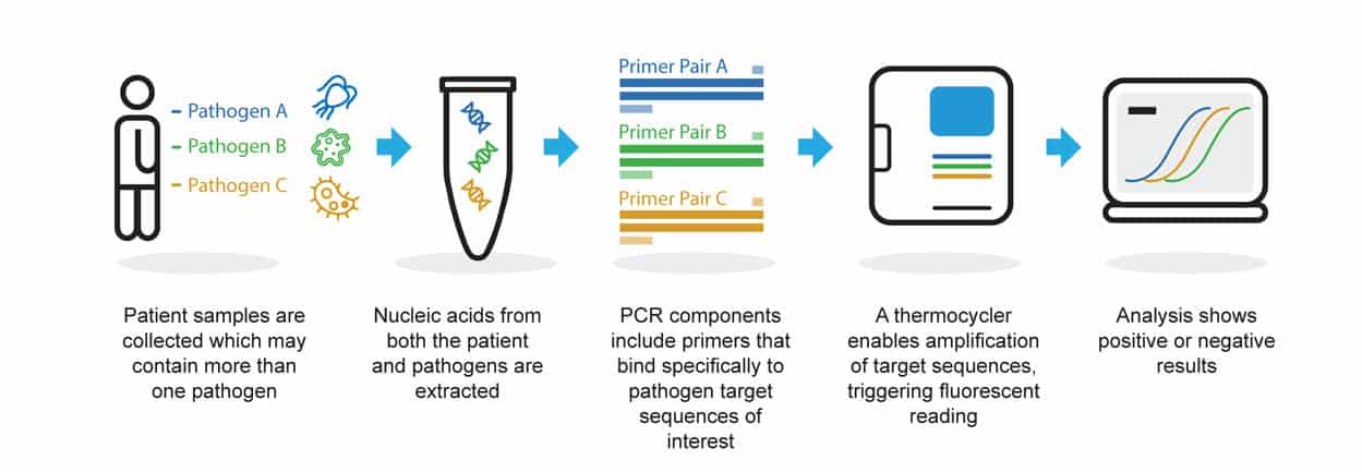 PCR-diagram